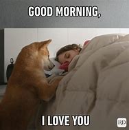Image result for Beautiful Morning Meme
