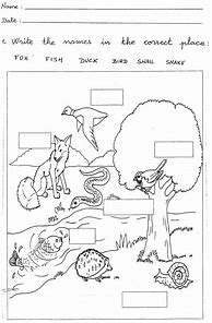 Image result for Free Printable 1st Grade Science Worksheets