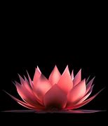 Image result for Pink Lotus Flower Screensavers