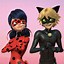 Image result for Lady and Cat Noir Wallpaper
