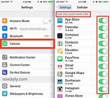 Image result for Where to Find Cellular in iPhone Settings