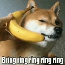 Image result for Ring Me On the Phone Dog Meme