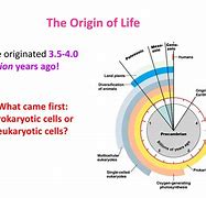Image result for Origin of Life On Earth