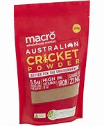 Image result for Cricket Protein