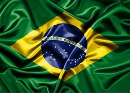 Image result for Simbolos Do Brasil