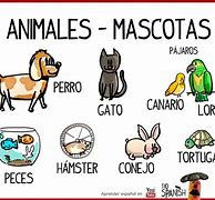Image result for Los Animales En Español