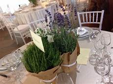idee fiori per matrimonio centrotavola con erbe aromatiche зелёная green wedding idee fiori per matrimonio centrotavola con erbe aromatiche зелёная green wedding