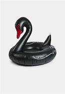 Image result for Black Swan Pool Float