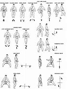 Image result for Karate Moves and Techniques