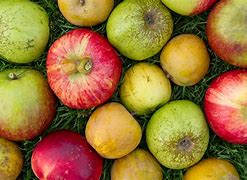 Image result for Heritage Apples Clemmons NC