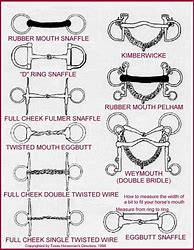 Image result for Horse Bit Severity Chart
