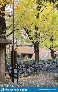 Image result for University of Tokyo Views Inside