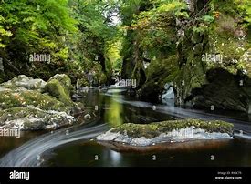 Image result for Fairy Glen Wales