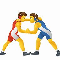 Image result for Wrestling Throws