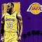 Image result for LeBron James NBA Photo