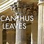 Image result for Acanthus Leaf Reath