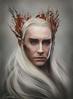 Image result for Lord of the Rings Elf King