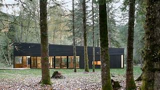 Image result for Modern House in the Woods