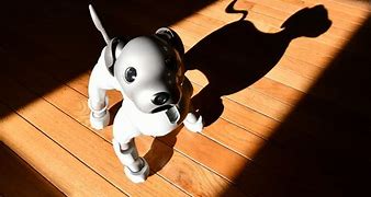 Image result for Aibo Ears