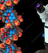 Image result for DNA Microscope