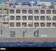 Image result for Ship Sunk by Animal