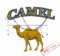 Image result for Camel Backed Cave Cricket
