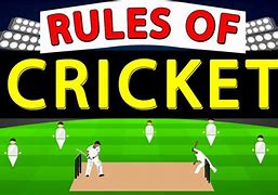 Image result for Cricket Basics