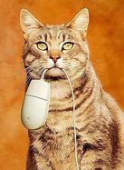 Image result for Cat with Computer Mouse