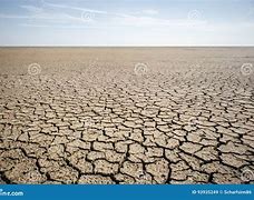 Image result for Photography Desert Dry Cracked