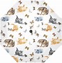 Image result for Cat with Umbrella