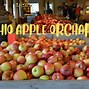 Image result for Ohio Apple Orchard
