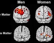 Image result for Woman's Brain Meme