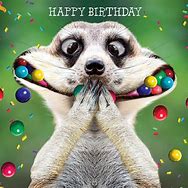 Image result for Happy Birthday Crazy Party Meme