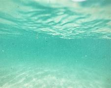 Image result for Unsplash Team