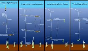 Image result for Fishing Line