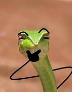 Image result for Snake with Arms Meme