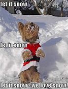 Image result for Yay for Winter Meme