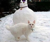 Image result for Funny Snowman Memes