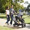 Image result for Convertible Stroller