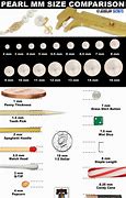 Image result for Objects That Are 1 Mm-Thick