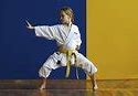 Image result for types of karate