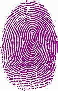 Image result for Fingerprint Cabinet Lock