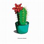 Image result for Variety of Cactus Plants