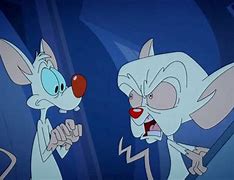 Image result for Pinky and the Brain House