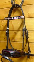 Image result for Double Bridle