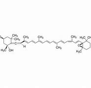 Image result for Neoxanthin