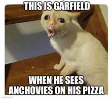 Image result for Garfield Dank Memes
