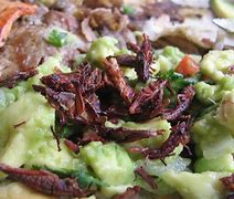 Image result for Grasshopper Food