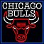 Image result for Chicago Bulls Logo
