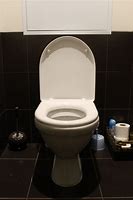 Image result for Japanese Bidet Toilet Seat